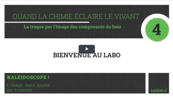 Bienvenue au labo - Quand la chimie éclaire le vivant : La traque par l’image des composants du bois