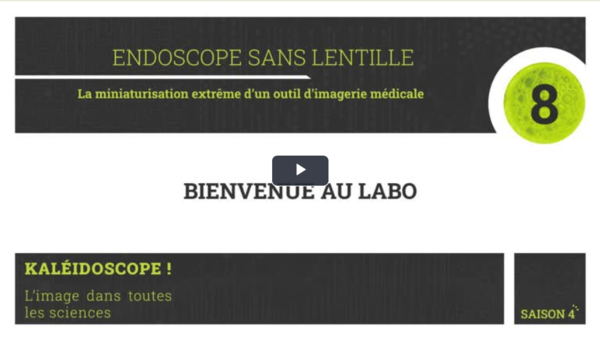 Bienvenue au labo : Endoscope sans lentille : La miniaturisation extrême d’un outil d’imagerie médicale