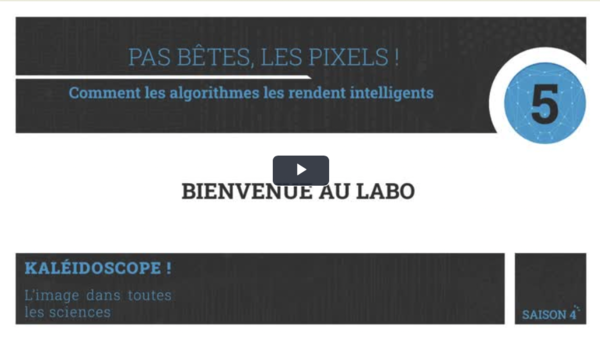 Bienvenue au labo - Pas bêtes les pixels ! : Comment les algorithmes les rendent intelligents