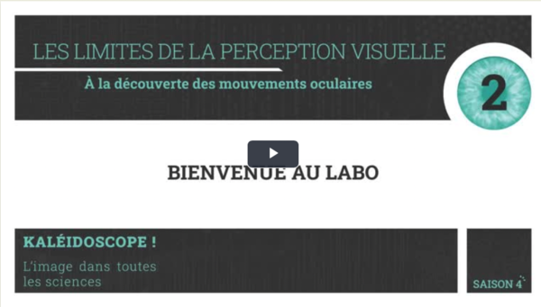 Bienvenue au labo - Les limites de la perception visuelle : A la découverte des mouvements oculaires