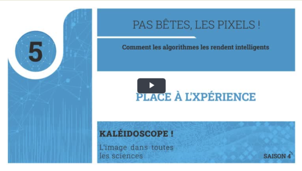 Place à l’Xpérience – Pas bêtes, les pixels ! : Comment les algorithmes les rendent intelligents