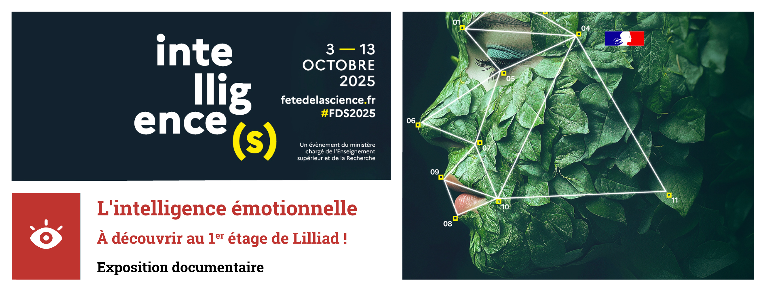 Découvrez l'exposition documentaire sur l'intelligence émotionnelle au 1er étage de LILLIAD.
