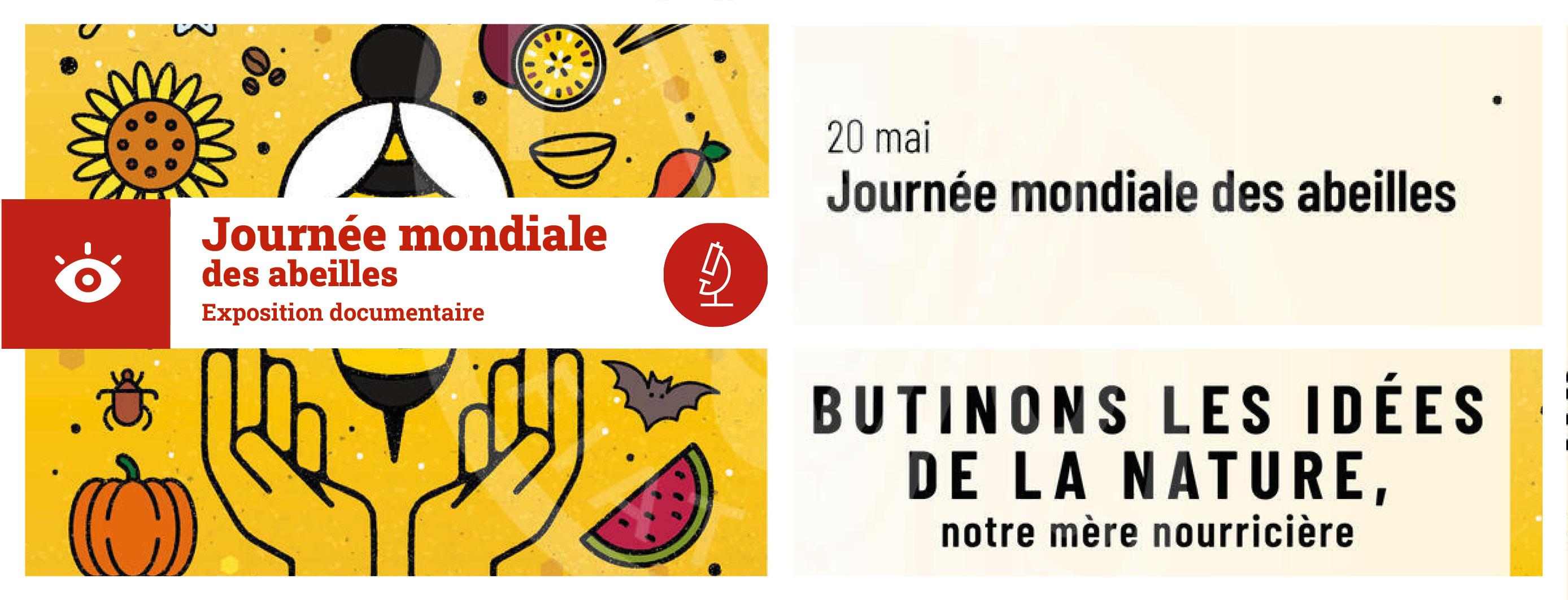 À l'occasion de la Journée mondiale des abeilles, célébrée dans le monde entier le 20 mai 2025, Lilliad vous propose une sélection documentaire issue de ses collections.