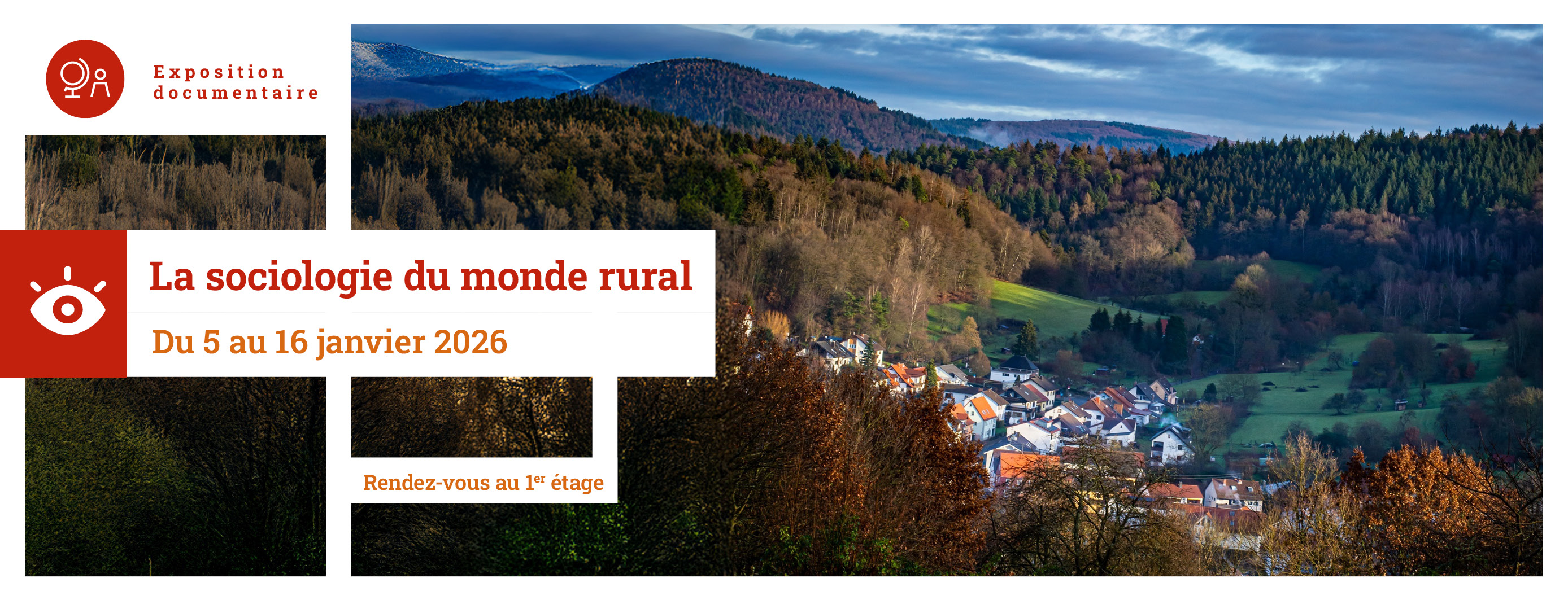 Découvrez notre exposition documentaire sur la sociologie du monde rural au 1er étage de LILLIAD - Image by Petra from Pixabay