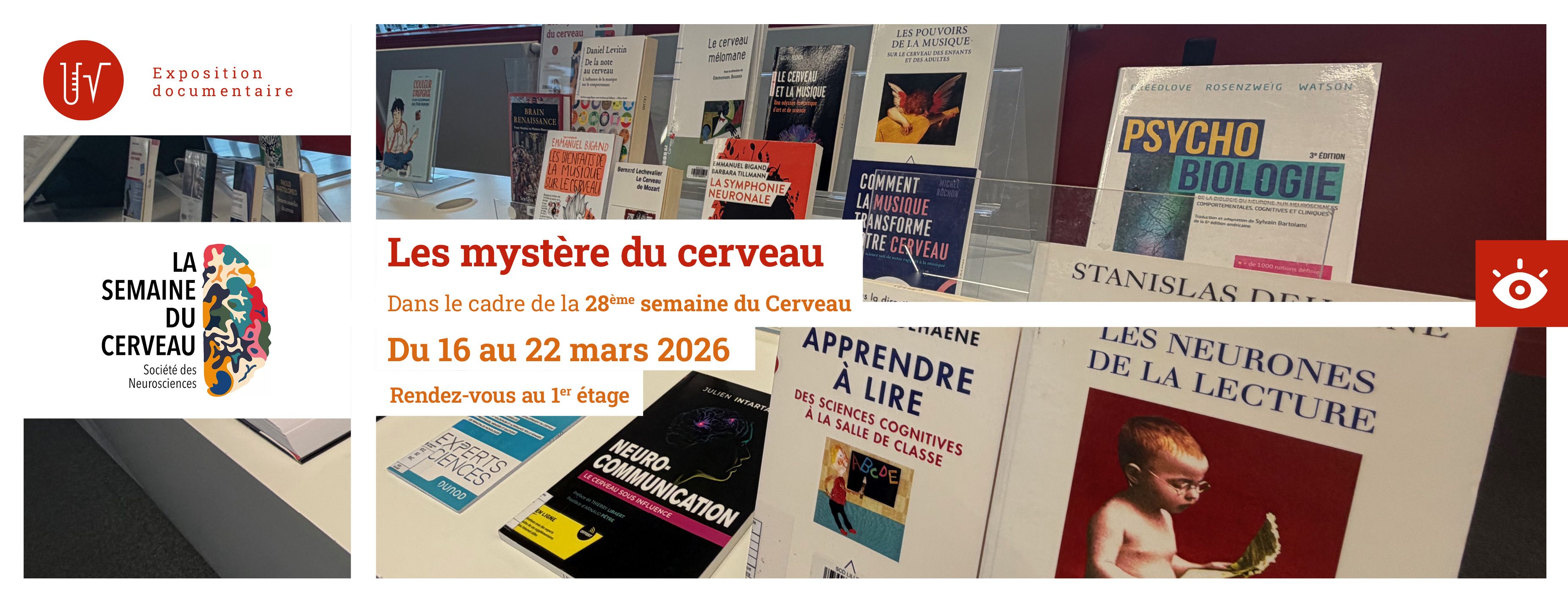 Rdv au 1er étage de LILLIAD pour découvrir l'exposition documentaire sur le cerveau