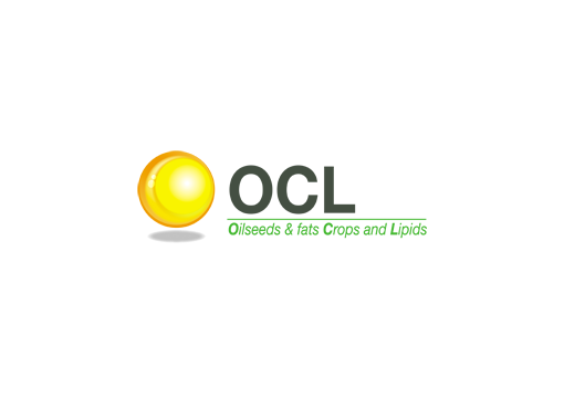 OCL OCL
